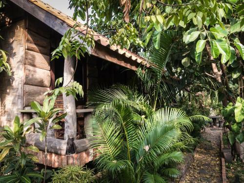 Bed & Breakfast Sala Thongyon