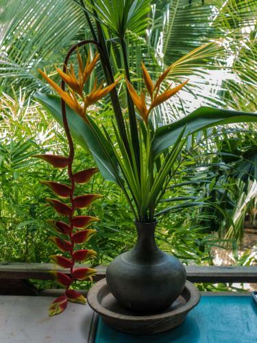 Bed & Breakfast Sala Thongyon