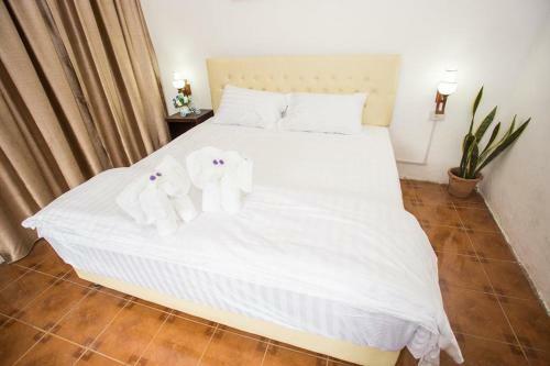 Green Box Capsule Hostel & Hotel