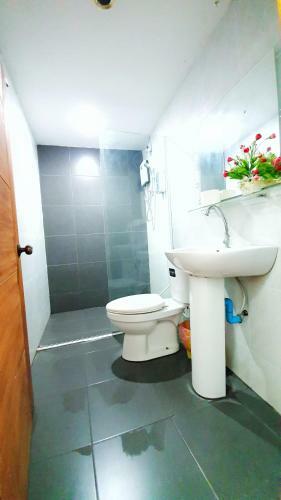 Green Box Capsule Hostel & Hotel