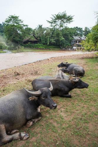 Muang La Lodge