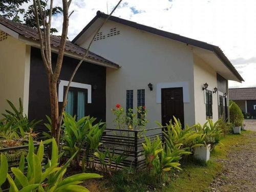 Hostal Green Tea Villa