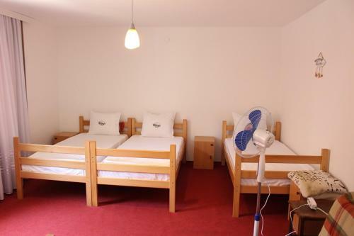 Hostel Bushati