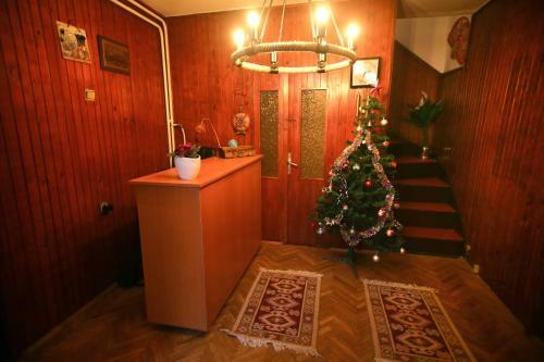 Hostel Bushati