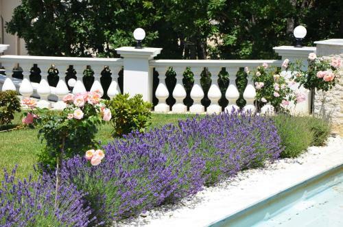 Hotel Queen Vali Palace