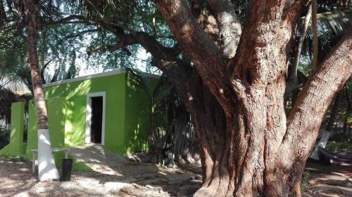 Hostal Caba�as Camping Ria Celestun