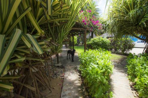 Hotel Bambuddha Centro Holistico