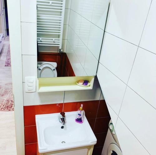 Apartman ?mimoza? Gra?anica