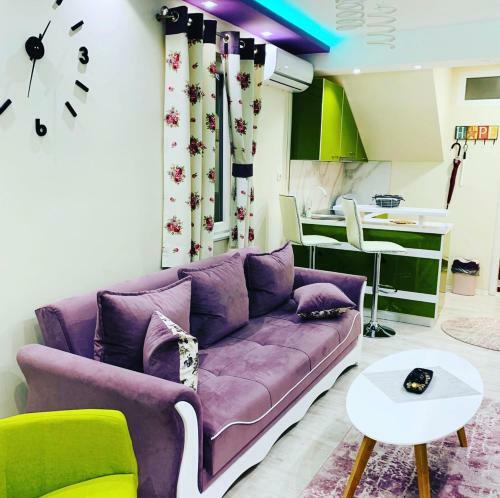 Apartman ?mimoza? Gra?anica