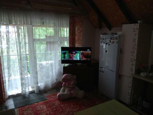 Hostal Podsolnukhi Guest House