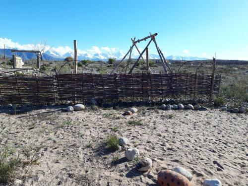 Yurt Camp Sonun