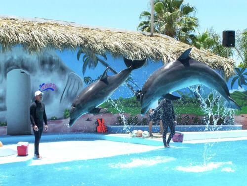 Hotel Splash Inn