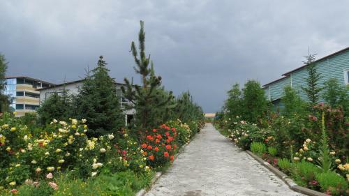 Apartments Natali Resort