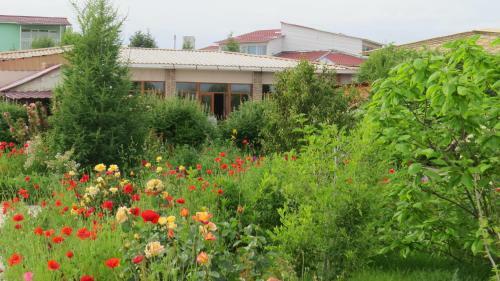 Apartments Natali Resort