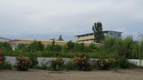 Apartments Natali Resort