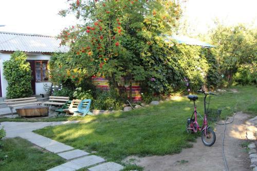 Hostal Tamga Bee House