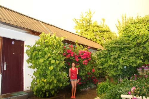 Hostal Tamga Bee House