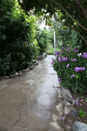 Hostal Tamga Bee House