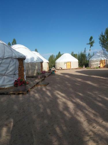 Yurt Camp Tosor