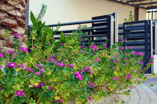 Villa Bouga Compound