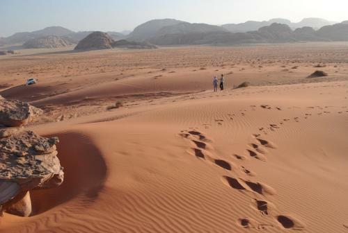 Wadi Rum Green Desert