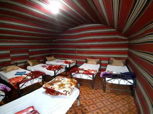 Bedouin Tours Camp