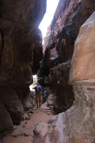 Bedouin Tours Camp