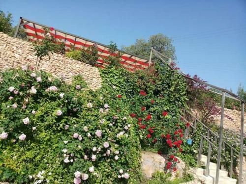 Agroturismo Country House Farm