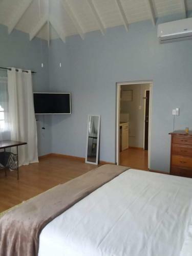 Hostal Studio Chateau - Manor Park, Kingston 8