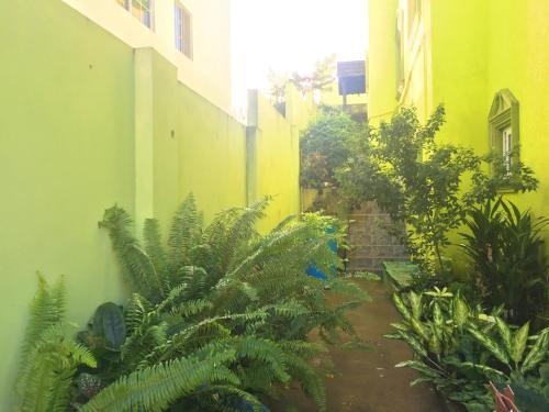 W Hostel