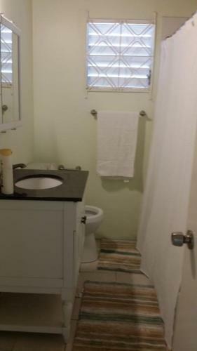Wild Palm Villa Cozy 2br/1ba Bungalow W/ Backyard Oasis