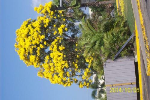 Bed & Breakfast Wataview