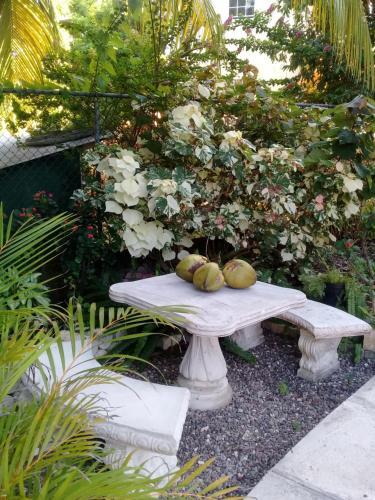 Apartamento Sunflower Escape (ac / Wifi / Free Beach / Parking)