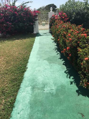 Hostal Villa Southaven