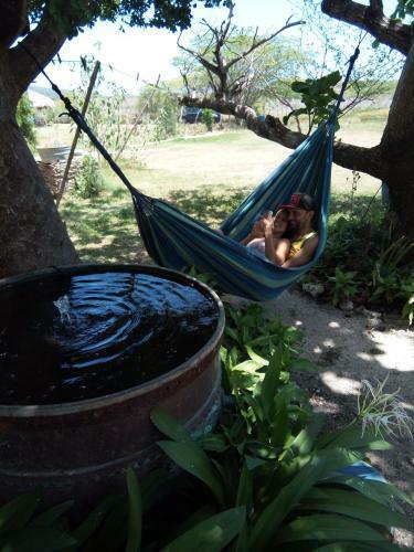 Blossom Bed And Breakfast