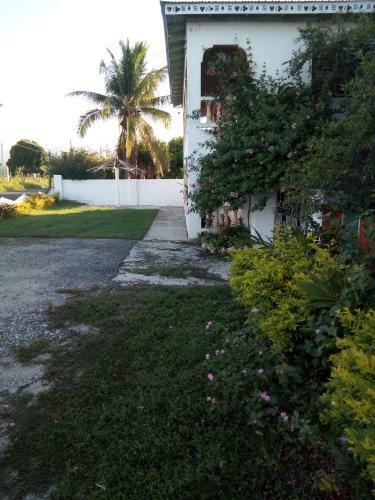 Blossom Bed And Breakfast