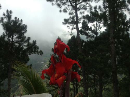 Hostal Misty Valley