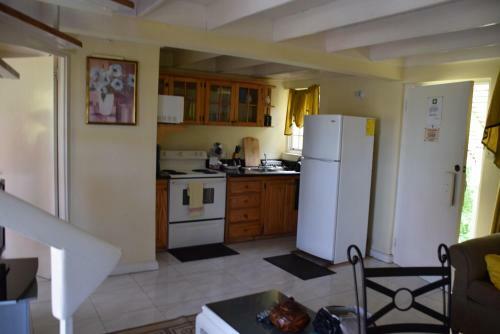 Pent House Apartment