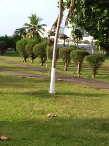 Apartamento Mcfarlane's Place