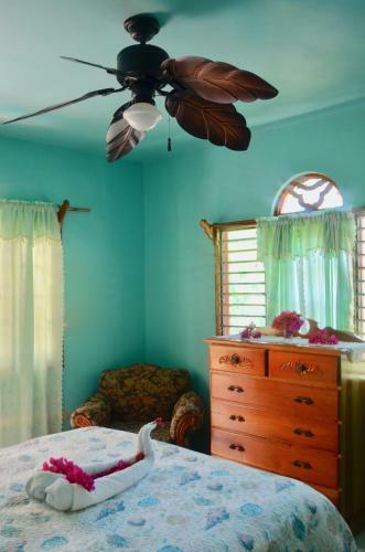 Bed & Breakfast Coral Cottage Jamaica