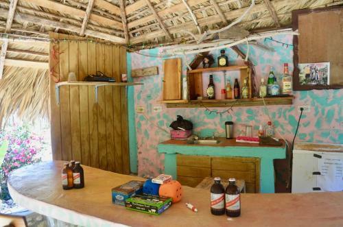 Bed & Breakfast Coral Cottage Jamaica