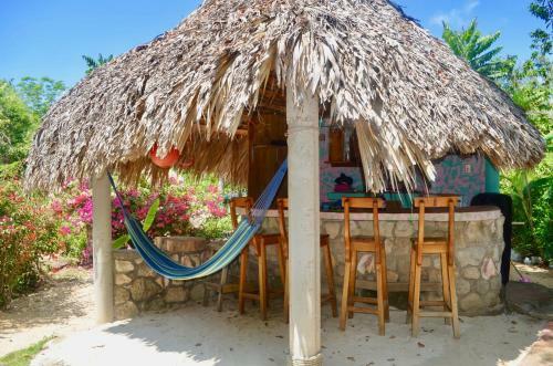 Bed & Breakfast Coral Cottage Jamaica