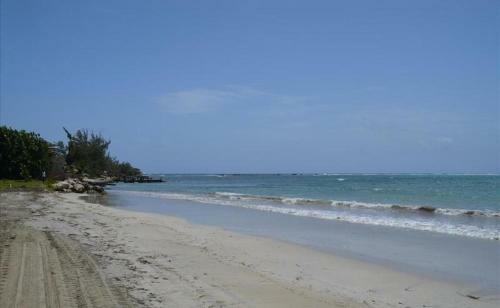 Villa Ocho Rios Under The Coolshade III