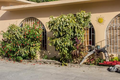 Eventuality B&B New Kingston