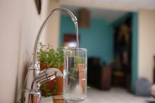 Ragamuffin Hostel & Coffee Bar