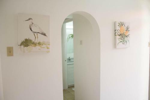 Kingston Luxury Condo Apartment