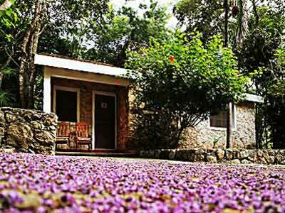 Hacienda San Miguel