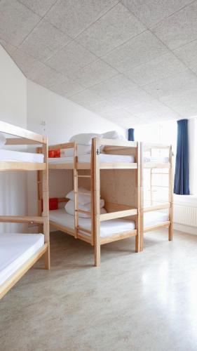 Albergue Snotra House