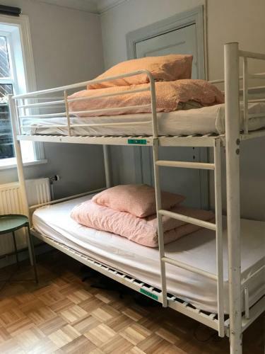 Albergue Falkinn
