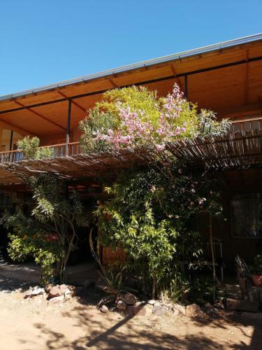 Hostal Apuwara